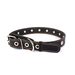 Collar Ошейник для собак безразмерный, ширина 2,5 см, длина 60 см, черный – интернет-магазин Ле’Муррр