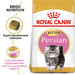 Royal Canin Persian Kitten Сухой корм для котят Персидской породы – интернет-магазин Ле’Муррр